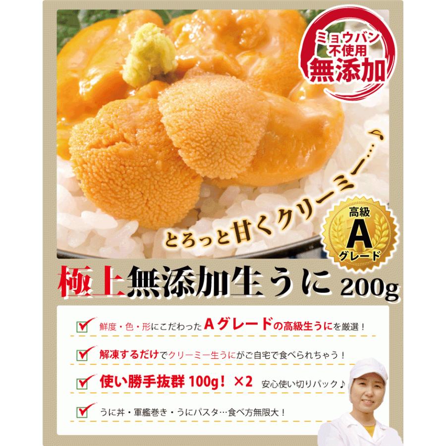 生うに 生ウニ 200g（100g×2）((冷凍)) 無添加 生雲丹 なまうに 生雲丹 お取り寄せ