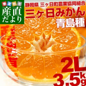 静岡県より産地直送 JAみっかび 三ケ日みかん (青島種) 2Lサイズ 3.5キロ (30玉前後) 送料無料 ミカン 蜜柑 三ヶ日 温州みかん