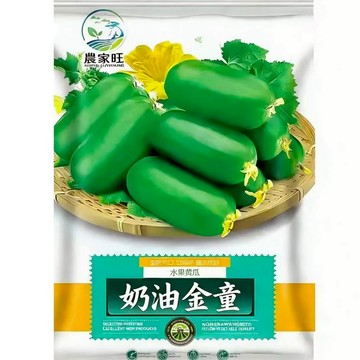【原廠包裝】奶油金童小黃瓜種子（Golden Boy Cucumber） 水果小黃瓜 超甜無苦 陽台盆栽可種 涼拌生吃
