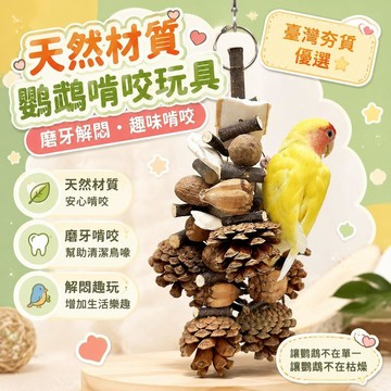 ⚡臺灣倉出⚡優選⭐鸚鵡玩具啃咬玩具訓練磨牙解悶牡丹玄風攀爬墨魚骨磨嘴磨爪補鈣