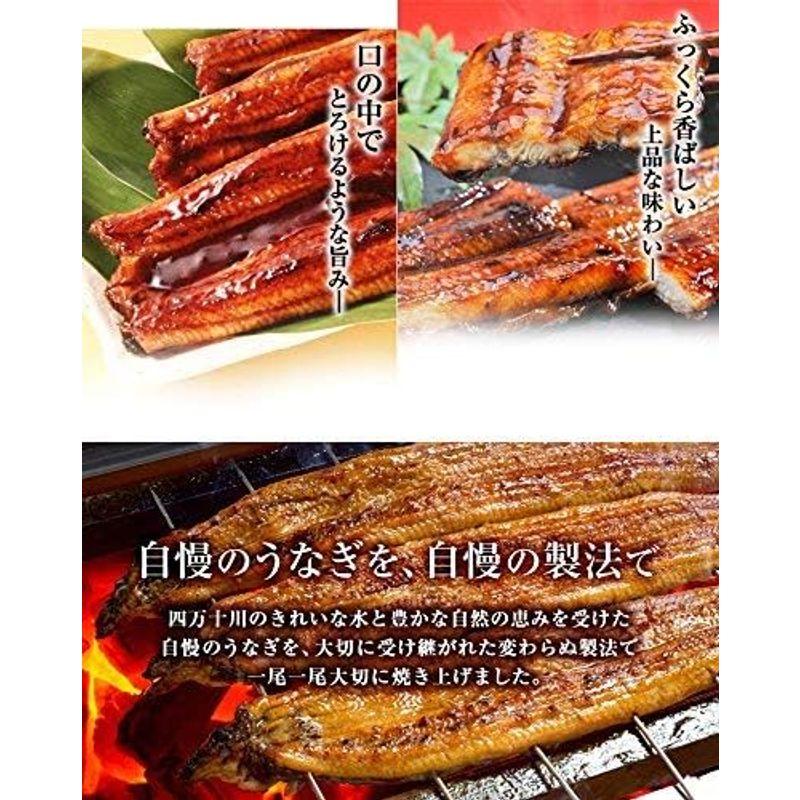 魚耕 四万十 うなぎ 国産 蒲焼き 110g×2尾 セット ギフト