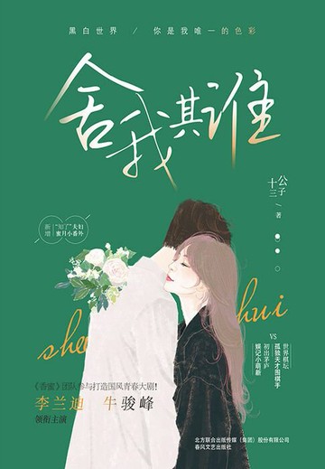 【電子書】舍我其谁（李兰迪、牛骏峰主演）