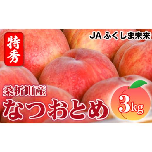 ふるさと納税 福島県 桑折町 No.170 もも（なつおとめ）特秀　3kg　桑折町産　JAふくしま未来　桃 ／ 果物 フルーツ モモ 福島県 特産品