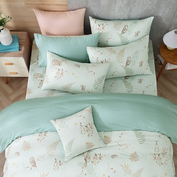 雙人兩用被套加大床包組/美國棉授權品牌 300織/ 狐狸艾莉森 [鴻宇] 台灣製 - 2306綠