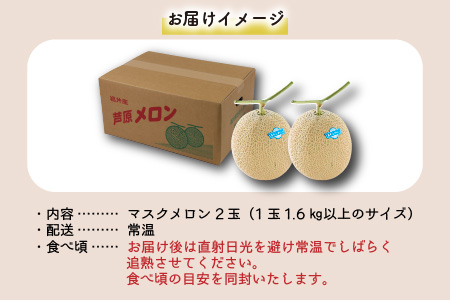 青肉マスクメロン（1.5kg以上 2玉入）味も見た目も抜群