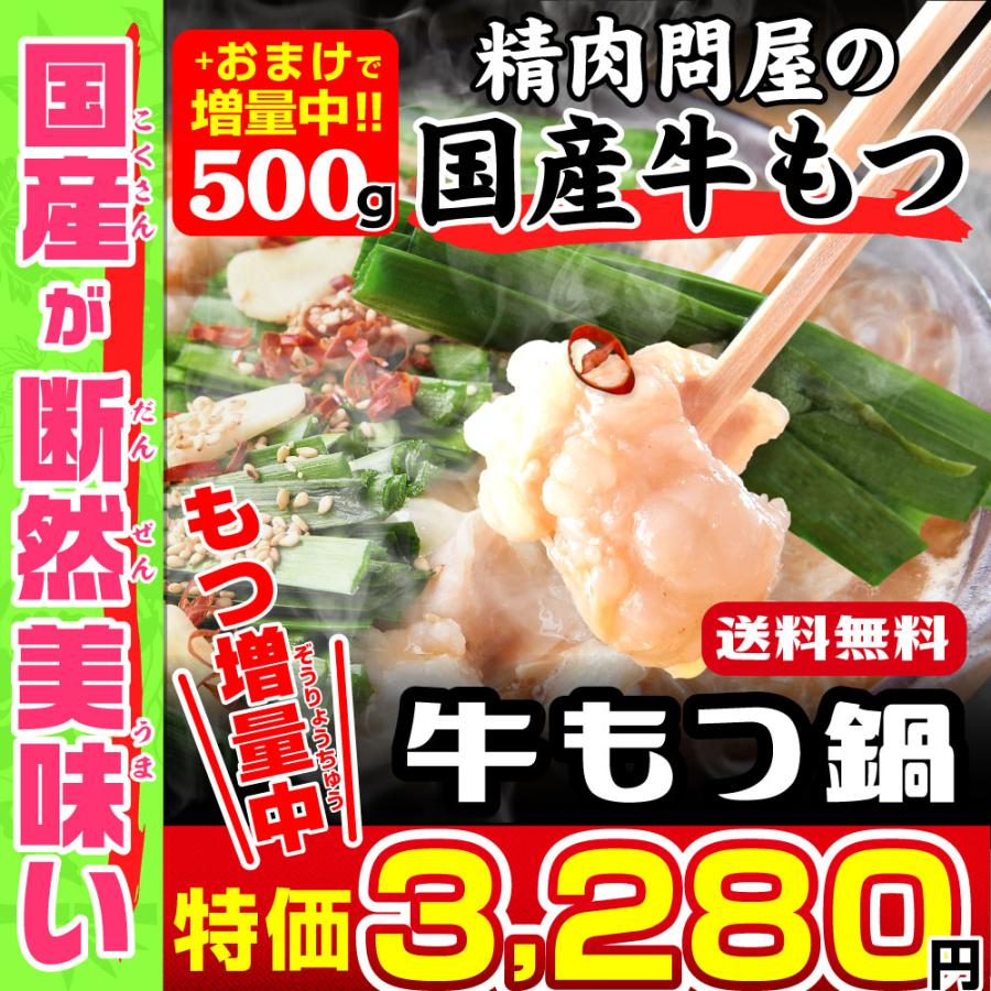 もつ鍋 国産牛 もつ鍋セット 選べる 味噌 醤油 おまけ付 お取り寄せ 2〜4人前 送料無料 贈り物