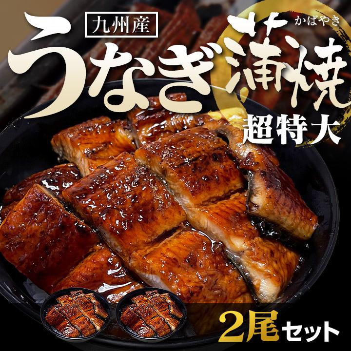 九州産うなぎ蒲焼(超特大) ふっくら肉厚で父の日ギフトにもおすすめな鰻のセット商品です！