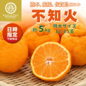 [予約 12月1日-12月31日の納品]  不知火 約 5kg 12-15玉 特大サイズ しらぬい 熊本 愛媛 佐賀県産 ほか 柑橘 甘い みかんの王様 冬ギフ