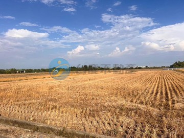 獨家 後營金砂國小正2分農地大車好出入｜台南市西港區後營