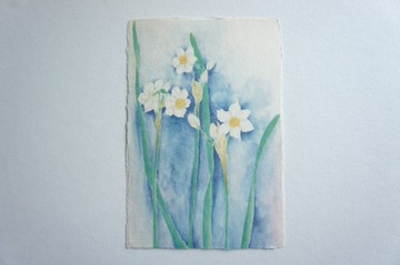 和紙明信片【水仙】