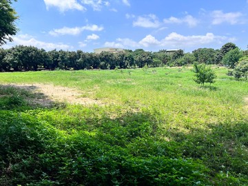 【神岡】綠園道開心農場、田野風光美、假日休閒好去處｜台中市神岡區林厝段
