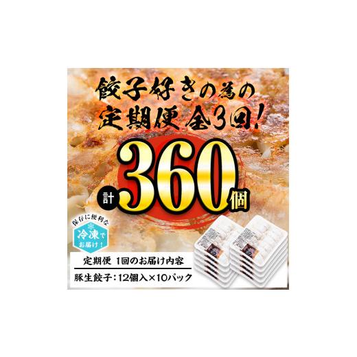 ふるさと納税 鹿児島県 志布志市 t003-003 3ヵ月に1回お届け！ぎょうざ好きのための餃子定期便