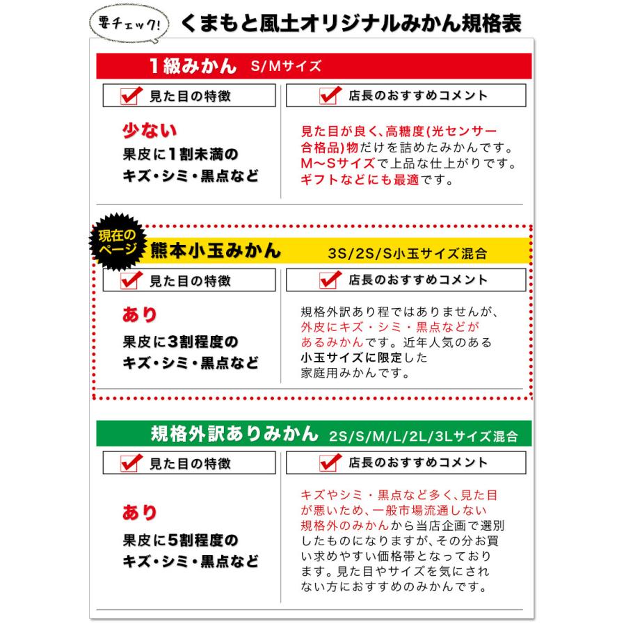 小玉 みかん 訳あり ご家庭用 送料無料 1.5kg 小粒 ミカン 柑橘 熊本 極早生 3s-sサイズ 家庭用 12月上旬〜12月下旬頃より発送予定