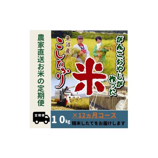 ふるさと納税 新潟県 南魚沼市 令和５年産新米がんこおやじが作った南魚沼産コシヒカリ白米１０kg（５kg×２袋）