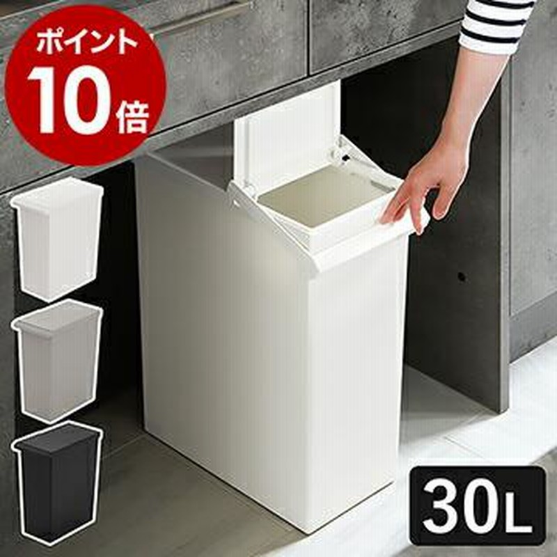 特典付き ゴミ箱 30リットル キッチン カウンター下 分別 ふた付き ダストボックス キャスター付き 分別ゴミ箱 シンク下 Toste レバーオープン 30l 通販 Lineポイント最大0 5 Get Lineショッピング