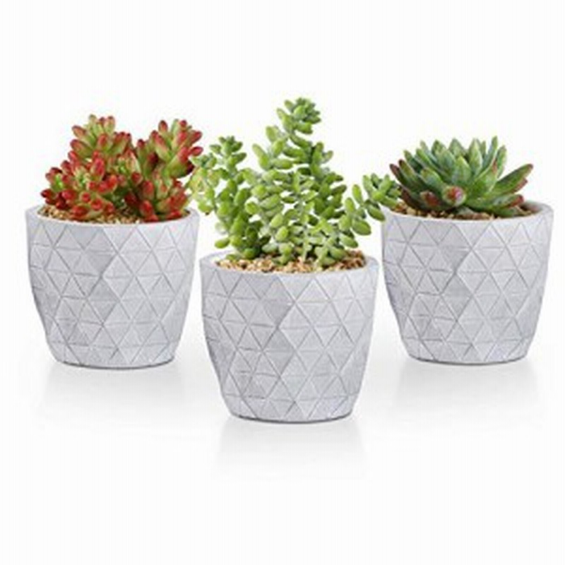 T4u 10cm セメント製 植木鉢 おしゃれ プランター 多肉植物鉢 サボテン鉢 底穴ある 小型植物適用 ひし形模様 3個セット 通販 Lineポイント最大1 0 Get Lineショッピング