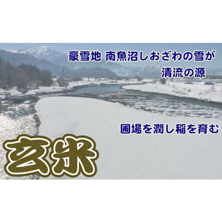 ふるさと納税 玄米 生産者限定 南魚沼しおざわ産コシヒカリ10Kg 新潟県南魚沼市