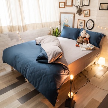 天絲床組 羅蘭Roland K4 kingsize薄床包鋪棉兩用被四件組(60支) 100%天絲 棉床本舖