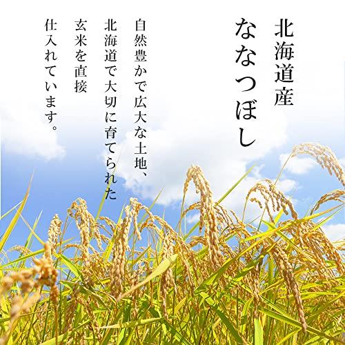 精米 低温製法米 無洗米 北海道産 ななつぼし 5kg 令和4年産