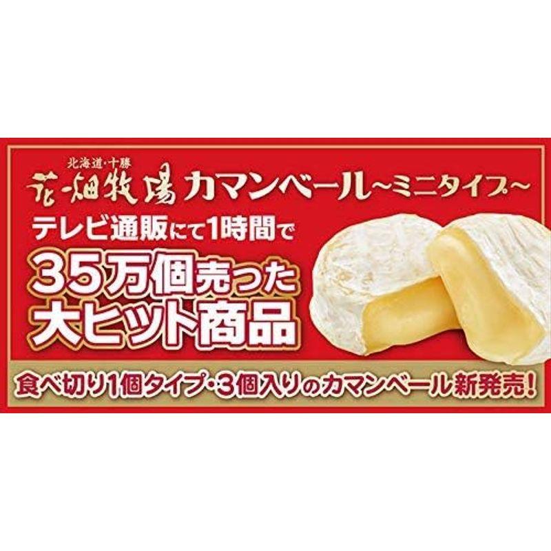 花畑牧場 カマンベールプレーン～ミニタイプ 230g (10個入り)