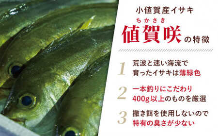 値賀咲の棒寿司 約250g×2本[DAK002]  長崎 小値賀 島 魚 魚介類 イサキ 値賀咲 棒寿司 寿司 定期便