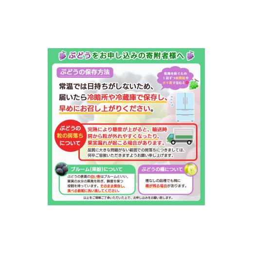 ふるさと納税 山形県 山形市 山形のシャインマスカット 優品 約2kg(2〜6房)[9月中旬〜10月中旬発送] FU22-792