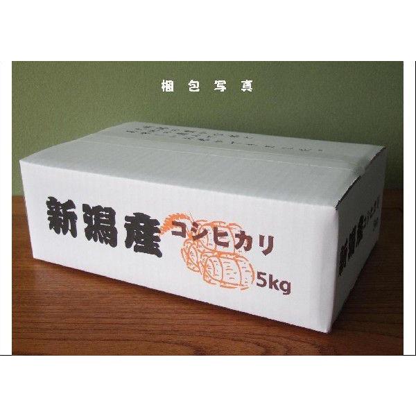 こばやし農園　ミルキークイーン  胚芽米（5分づき）10kg(5kg＊2)  令和 5年産　新潟県産特別栽培米（減農薬・減化学肥料栽培米）