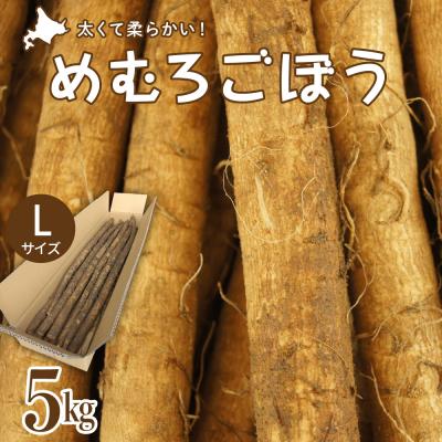 ふるさと納税 芽室町 北海道十勝芽室町 めむろごぼうLサイズ5kg me010-015c