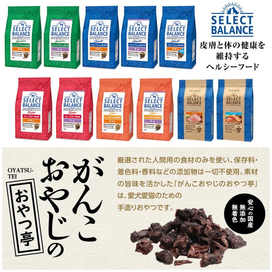 セレクトバランス アダルトチキン 中粒7kg＋国産鹿ラング15g 犬 成犬