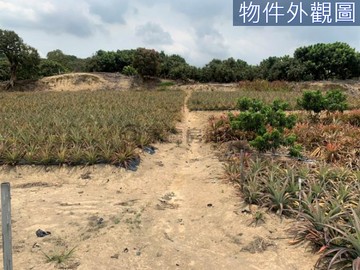 大樹休閒農場｜高雄市大樹區和山段