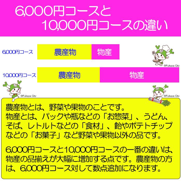 道の駅おかべセット 10,000円コース 定期購入