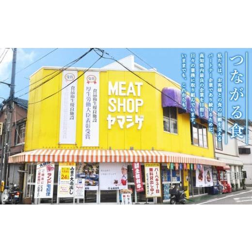 ふるさと納税 高知県 高知市 お肉の定期便　バラエティセット　(３か月)　お肉合計　9kg