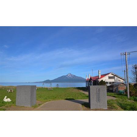 ふるさと納税 北海道 礼文島産 無添加 キタムラサキウニ 折詰200g×1 ウニ 北海道礼文町