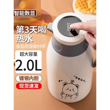 保溫水壺家用開水壺熱水瓶玻璃內膽暖水壺大容量保溫壺便攜保溫瓶