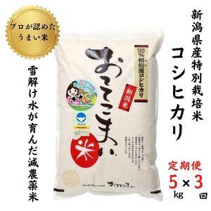 ふるさと納税 新潟県産 特別栽培米コシヒカリ5kg×3回「おててこまい」100%根知産 減農薬 令和5年産 専門家お墨付き 産地.. 新潟県糸魚川市