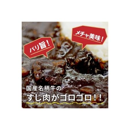 ふるさと納税  お肉屋さんの手作り「牛すじ黒カレー」(銘柄牛すじ使用)《 国産牛 ブランド牛 カレー 160g 5パック 美味しい 》 兵庫県加古川市