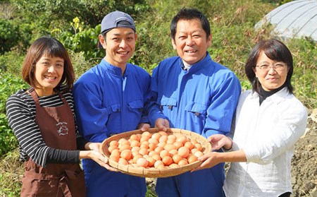 3ヵ月連続お届け　卵の黄身が掴めるほどの新鮮さ　美ら卵養鶏場の卵　各月80個