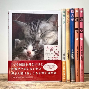 ◤絕版稀有 日文原裝 貓寫真《板東寬司・貓系列攝影套書-6冊合售》｜人類文化社 貓攝影