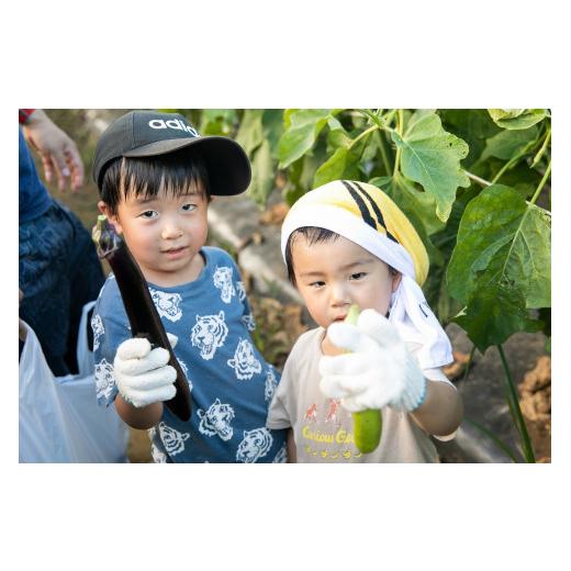 ふるさと納税 千葉県 香取市 THE FARMの 野菜 詰め合わせセット こだわり厳選した旬な野菜をお届け!