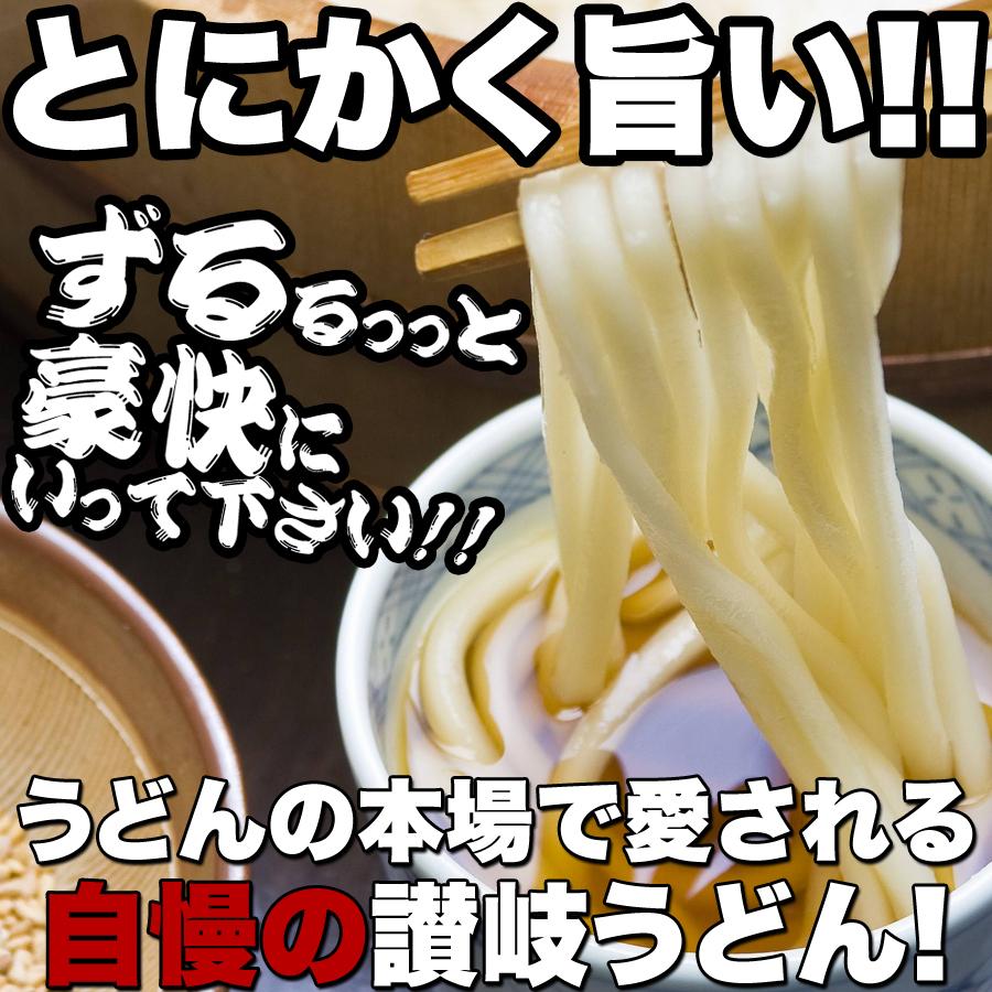 鎌田醤油特製ダシ醤油6袋付き!!讃岐うどん6食分600g（300g×2袋）