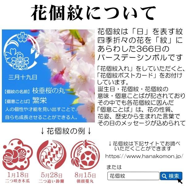 徳永こいのぼり　薫風の舞い鯉　風舞い　庭園ガーデンセット　杭打込みタイプ　1.5m　桜風吹流し　6点セット