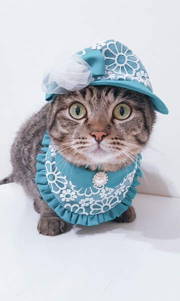 (10%捐公益)維多利亞系列_英式午茶領巾+蕾絲帽(Tiffany藍)