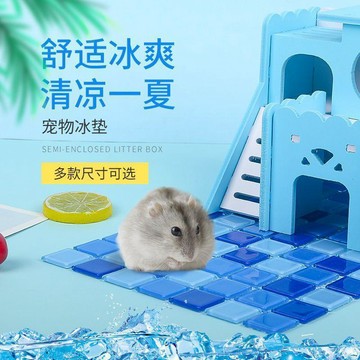超值下殺 台灣熱銷 小寵水晶墊 倉鼠用品 兔子降溫冰墊 倉鼠夏天降溫用品 消暑散熱板 寵物專用冰床 龍貓兔子涼席 小寵降