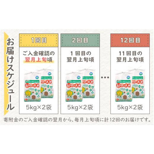 ふるさと納税 福井県 大野市 ミネラル豊富！弱アルカリ性のピロール米 ミルキークイーン 玄米 10kg（5kg×2袋）×12回　計…