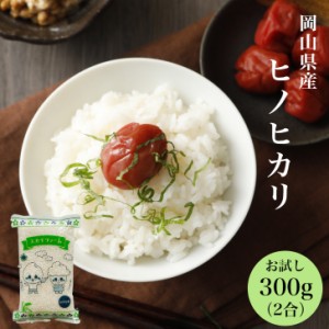 新米 米 300g こめ お米 ひのひかり お試し ポイント消化 送料無料 令和5年産 岡山県産ヒノヒカリ300ｇ(2合）メール便