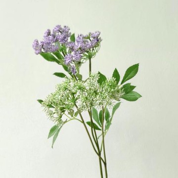 仿真蕾絲花 綠植草裝飾假花插花花藝景觀會所咖啡館軟裝