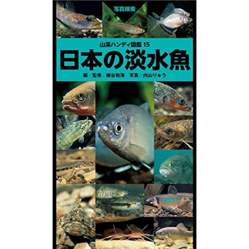 日本の淡水魚 (山溪ハンディ図鑑)