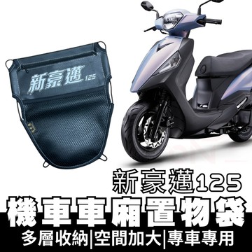 【OIN】新豪邁125 車廂置物袋 新豪邁125 置物 車廂收納 收納袋 車廂收納袋 坐墊置物袋 機車置物袋