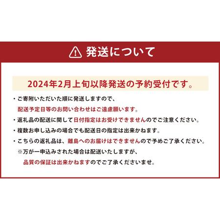 ふるさと納税  熊本産 ゆうべに 250g×10パック 計2.5kg いちご イチゴ 苺 熊本県熊本市