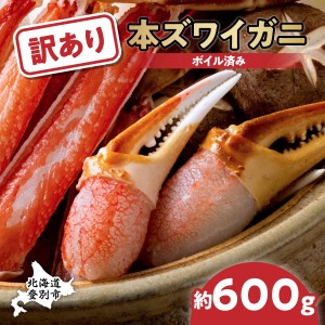 訳あり ズワイガニ 爪 600g 冷凍 ボイル　ずわいがに ずわい蟹 カニ かに 蟹 しゃぶしゃぶ カニしゃぶ  サイズ違い 不揃い 規格外